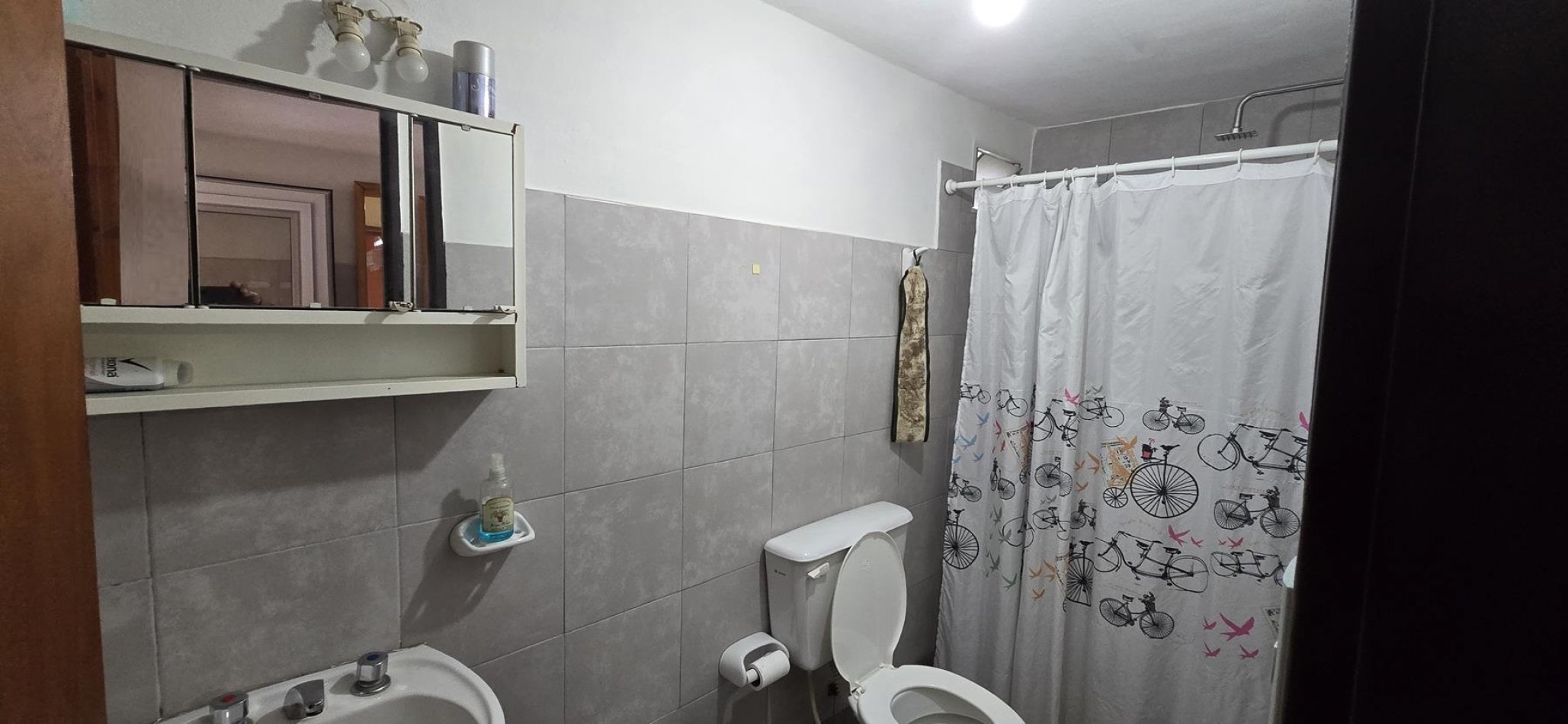 CASA CON 2 CABAÑAS TOTALMENTE EQUIPADAS EN ENTORNO NATURAL A LA VENTA. CA211