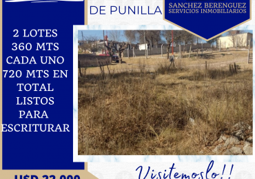 HERMOSOS LOTES CONTIGUOS CON VISTAS A LAS SIERRAS EN SANTA MARIA DE PUNILLA. TE66