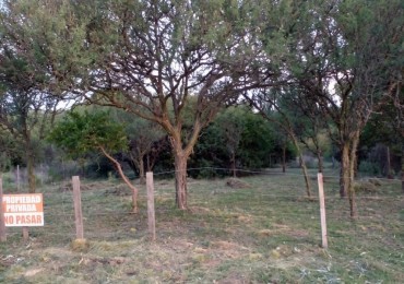 TERRENO EN VENTA EN ENTORNO NETAMENTE NATURAL EN CASA GRANDE. TE145